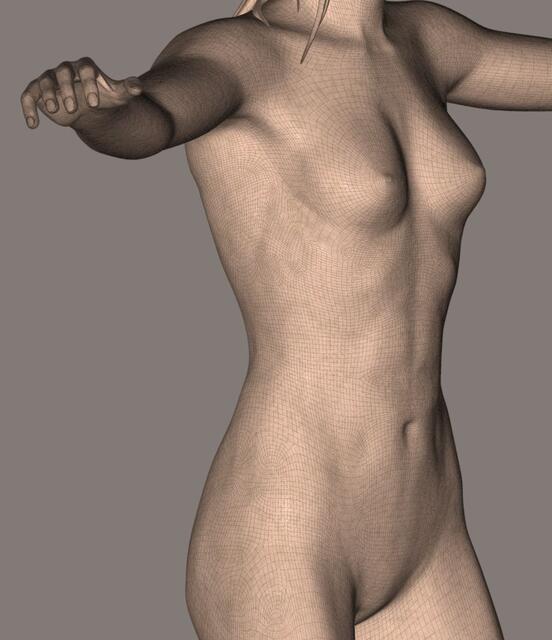 Femfig Torso