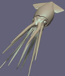 Giant squid_7