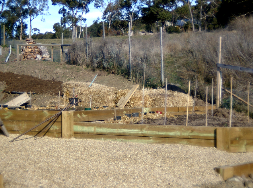 Kitchen-garden