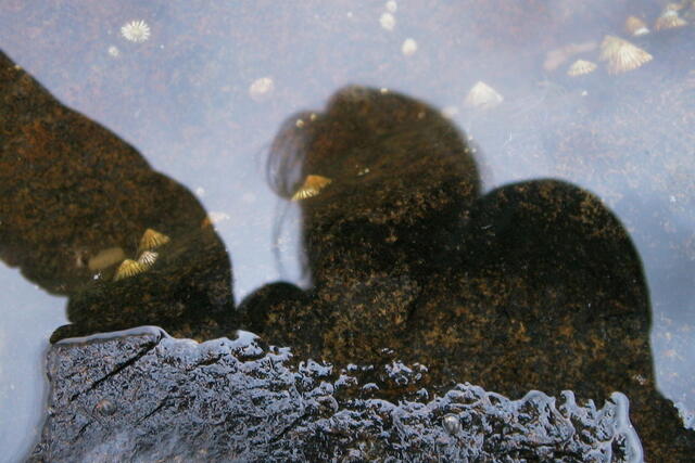 Self portrait in a rockpool