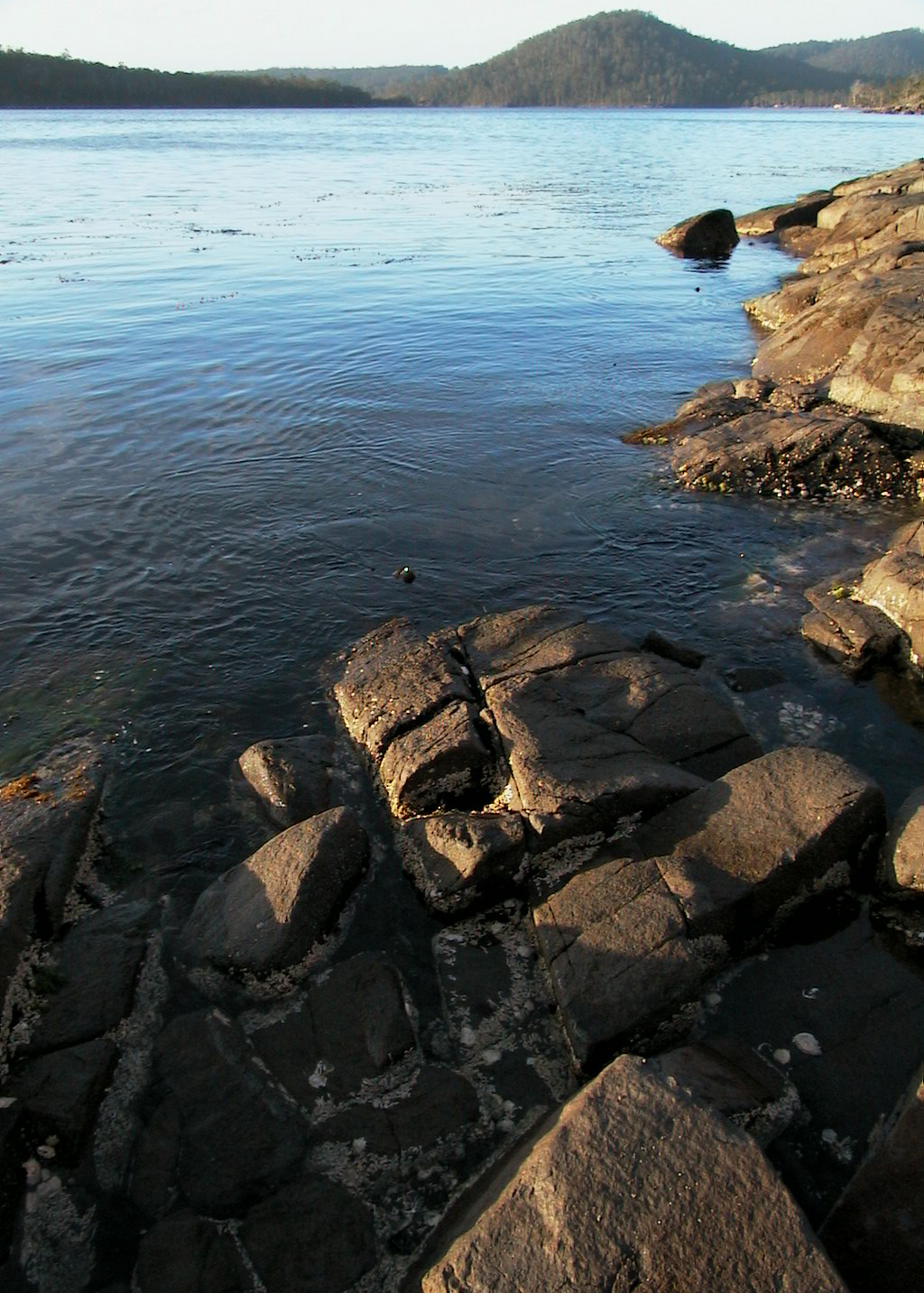 West Shoreline, looking North