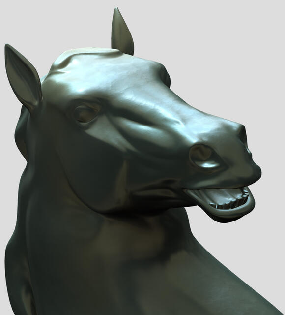 Stallion Head