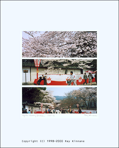 Cherry Blossom, Kyoto