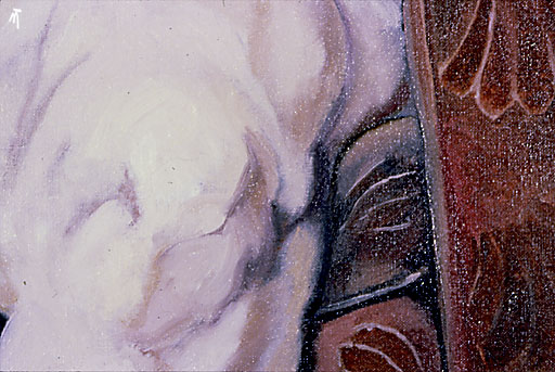 Detail: Large Woman (knee)